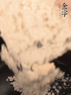 浸泡半天的糯米電飯鍋煮熟。